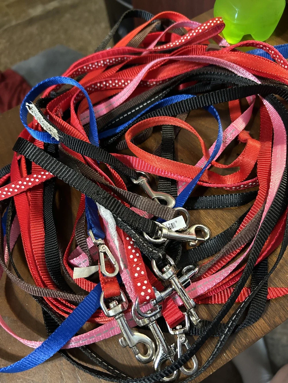 Assorted Nylon Dog Leashes with Metal Clips - Multiple Colors